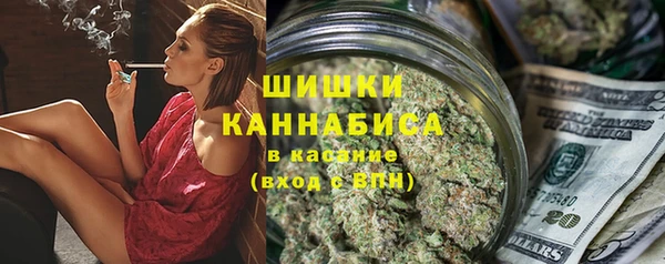 гашик Арсеньев