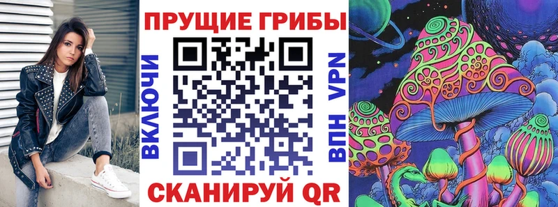 Галлюциногенные грибы прущие грибы  Георгиевск 