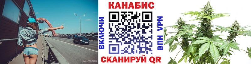 сколько стоит  Георгиевск  Канабис планчик 